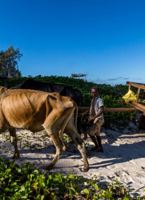 village ankorikahely (5)